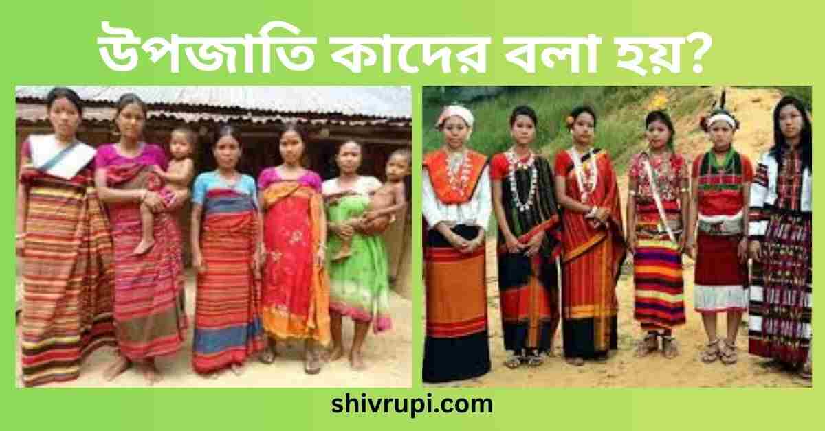 উপজাতি কাদের বলা হয়?