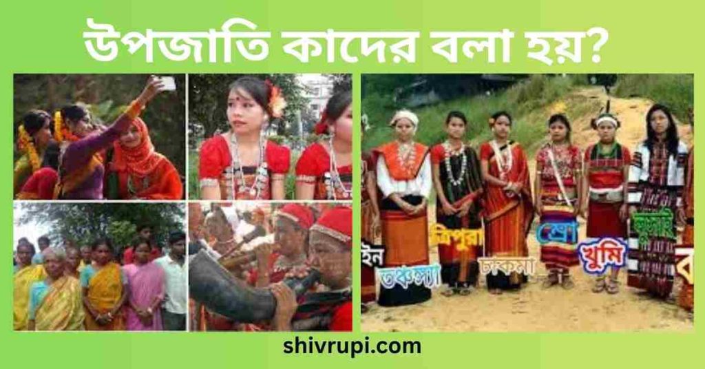 উপজাতি কাদের বলা হয়?